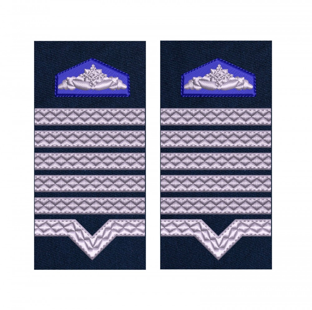 GRADE MAISTRU MILITAR PRINCIPAL SRI